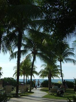 dscf9459a.JPG